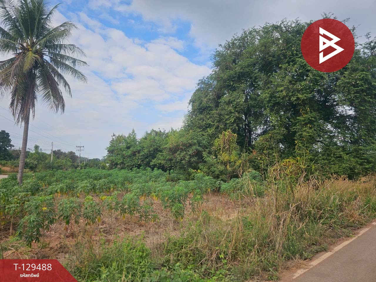 ขายที่ดิน เนื้อที่ 7 ไร่ 59 ตารางวา ต.วังหามแห กำแพงเพชร 7