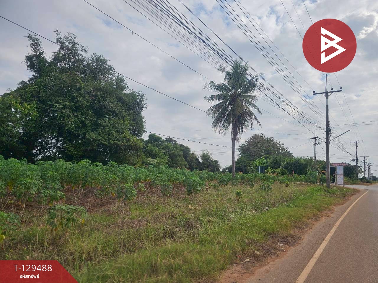 ขายที่ดิน เนื้อที่ 7 ไร่ 59 ตารางวา ต.วังหามแห กำแพงเพชร 4