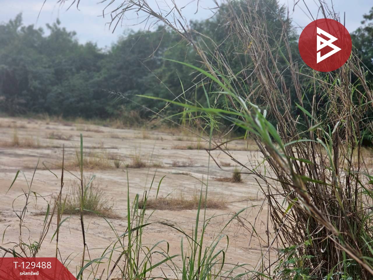 ขายที่ดิน เนื้อที่ 7 ไร่ 59 ตารางวา ต.วังหามแห กำแพงเพชร 8