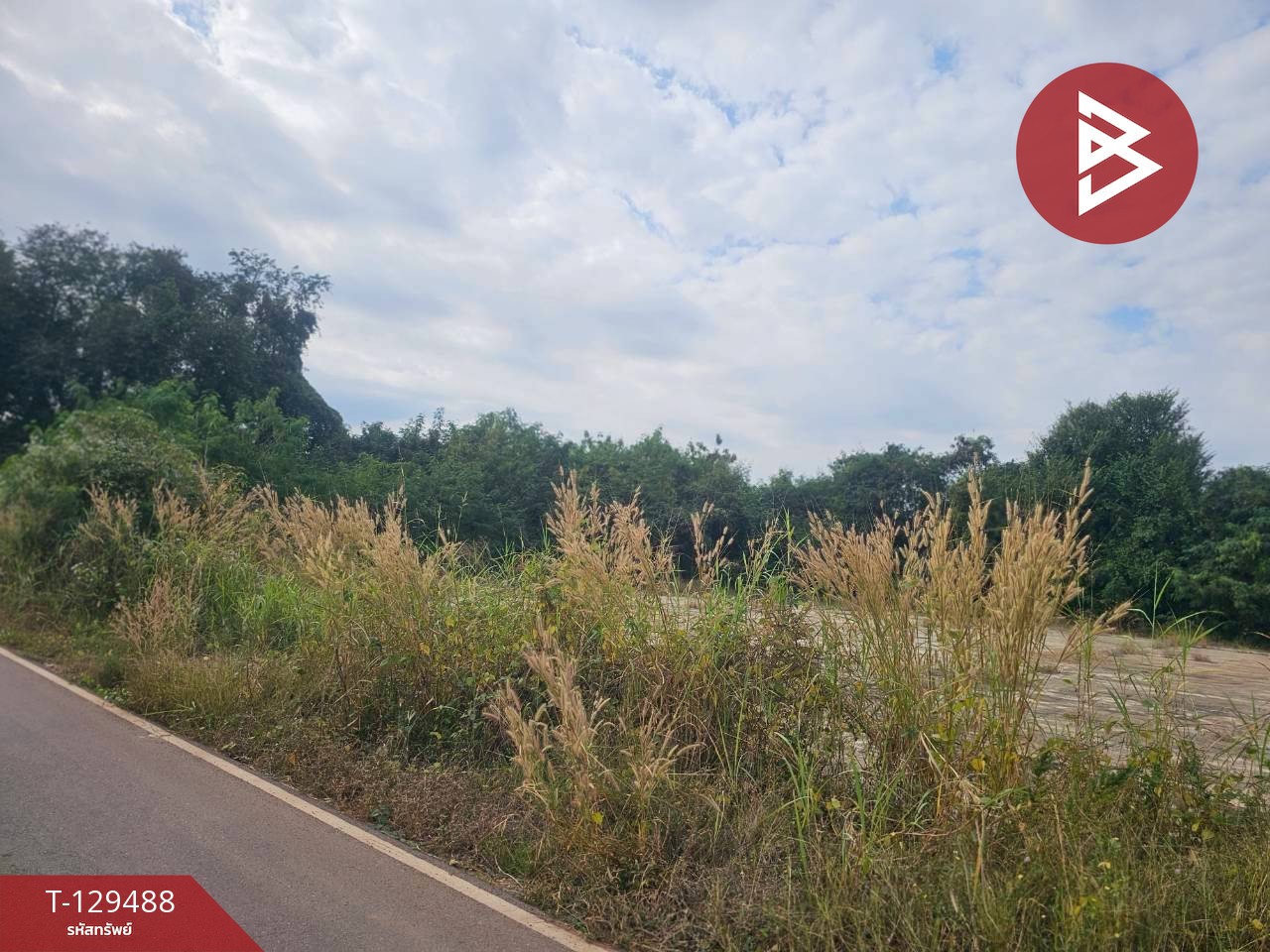 ขายที่ดิน เนื้อที่ 7 ไร่ 59 ตารางวา ต.วังหามแห กำแพงเพชร 10