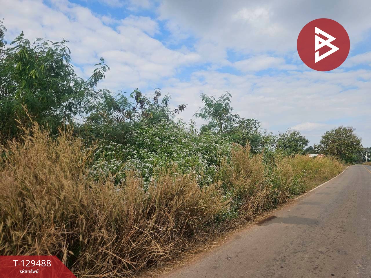 ขายที่ดิน เนื้อที่ 7 ไร่ 59 ตารางวา ต.วังหามแห กำแพงเพชร 11