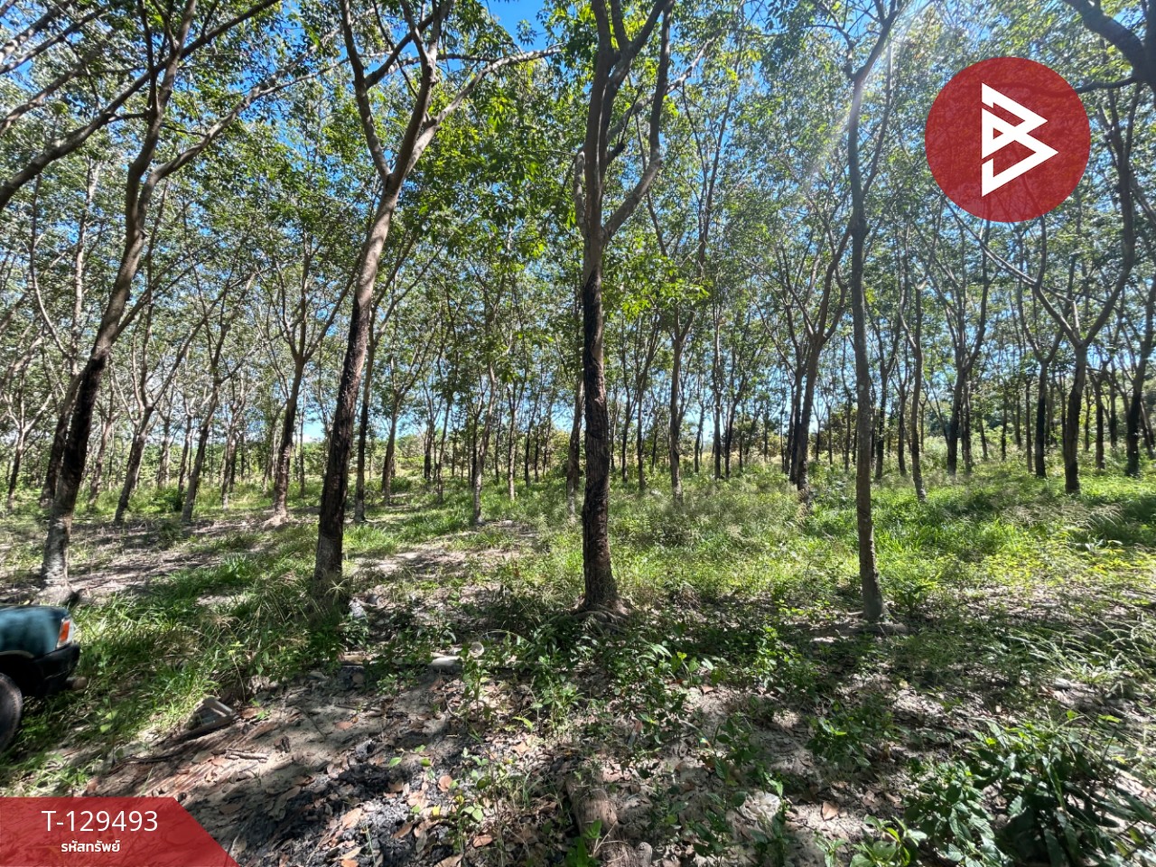 ขายด่วนที่ดินพร้อมสวนยาง เนื้อที่ 13 ไร่ 1 งาน 73 ตารางวา ต.แกลง ระยอง สวย 4