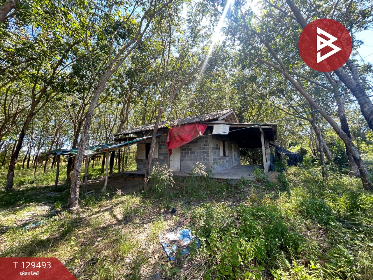 ขายด่วนที่ดินพร้อมสวนยาง เนื้อที่ 13 ไร่ 1 งาน 73 ตารางวา ต.แกลง ระยอง สวย 8