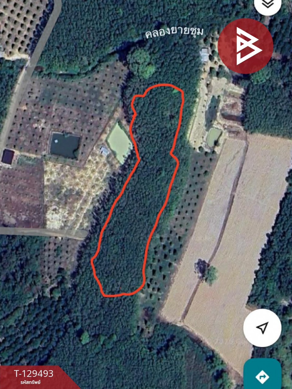 ขายด่วนที่ดินพร้อมสวนยาง เนื้อที่ 13 ไร่ 1 งาน 73 ตารางวา ต.แกลง ระยอง สวย 13