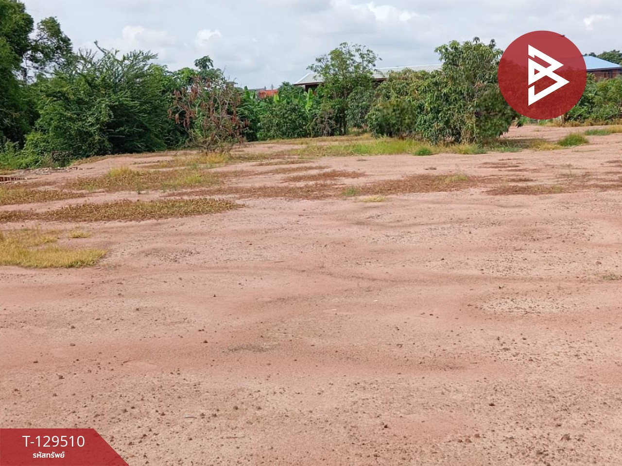 ขายที่ดิน เนื้อที่ 1 ไร่ 75.8 ตร.วา หนองบัว นครสวรรค์ 6