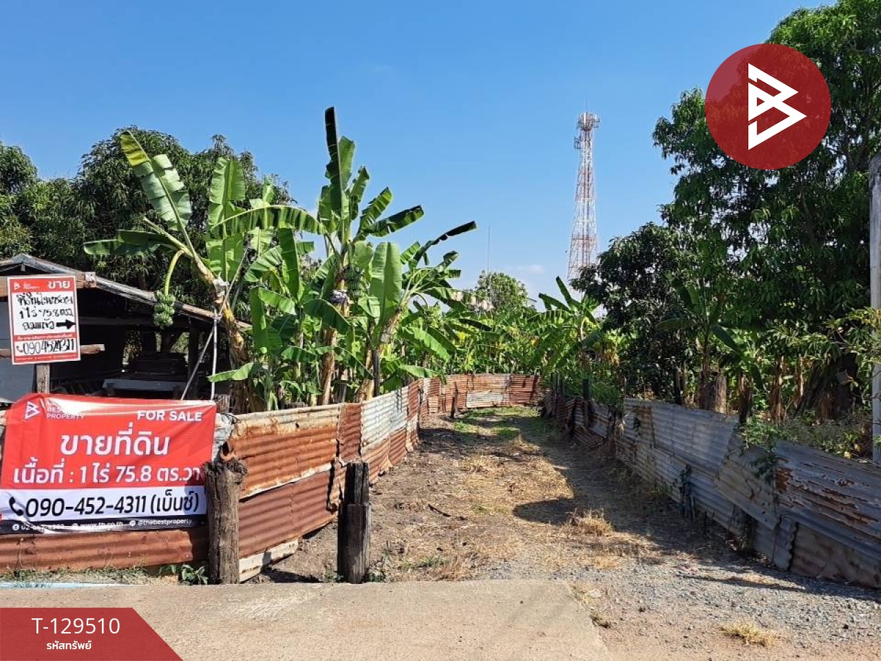 ขายที่ดิน เนื้อที่ 1 ไร่ 75.8 ตร.วา หนองบัว นครสวรรค์ 3