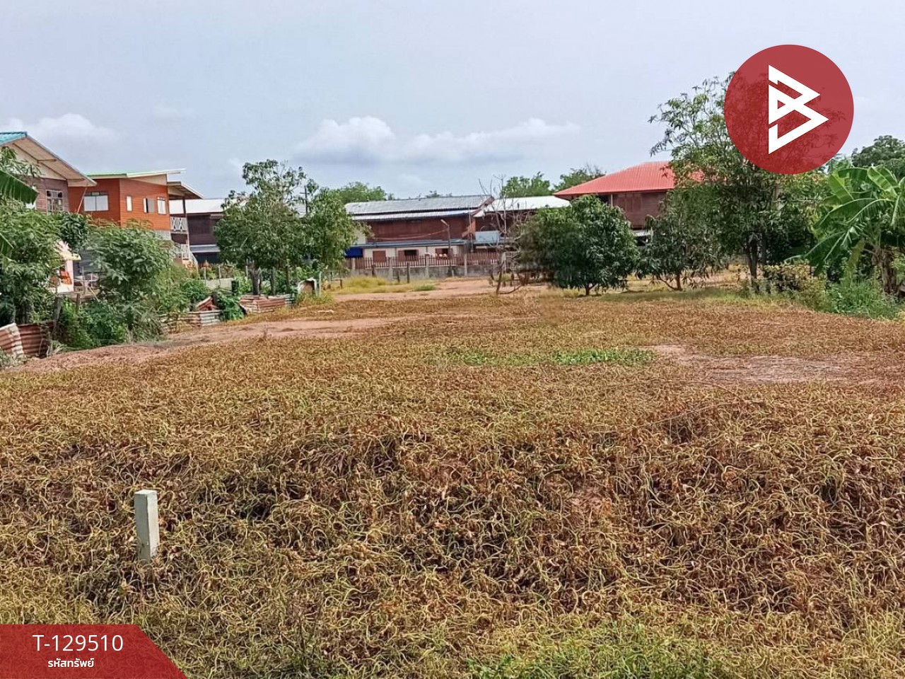 ขายที่ดิน เนื้อที่ 1 ไร่ 75.8 ตร.วา หนองบัว นครสวรรค์ 4