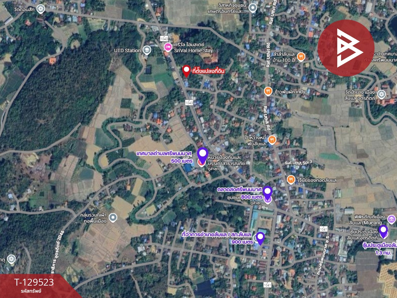 ขายที่ดิน เนื้อที่ 1 ไร่ 1 งาน 45 ตารางวา ลับแล อุตรดิตถ์ ทำเลดี ติดถนนสายหลัก 6