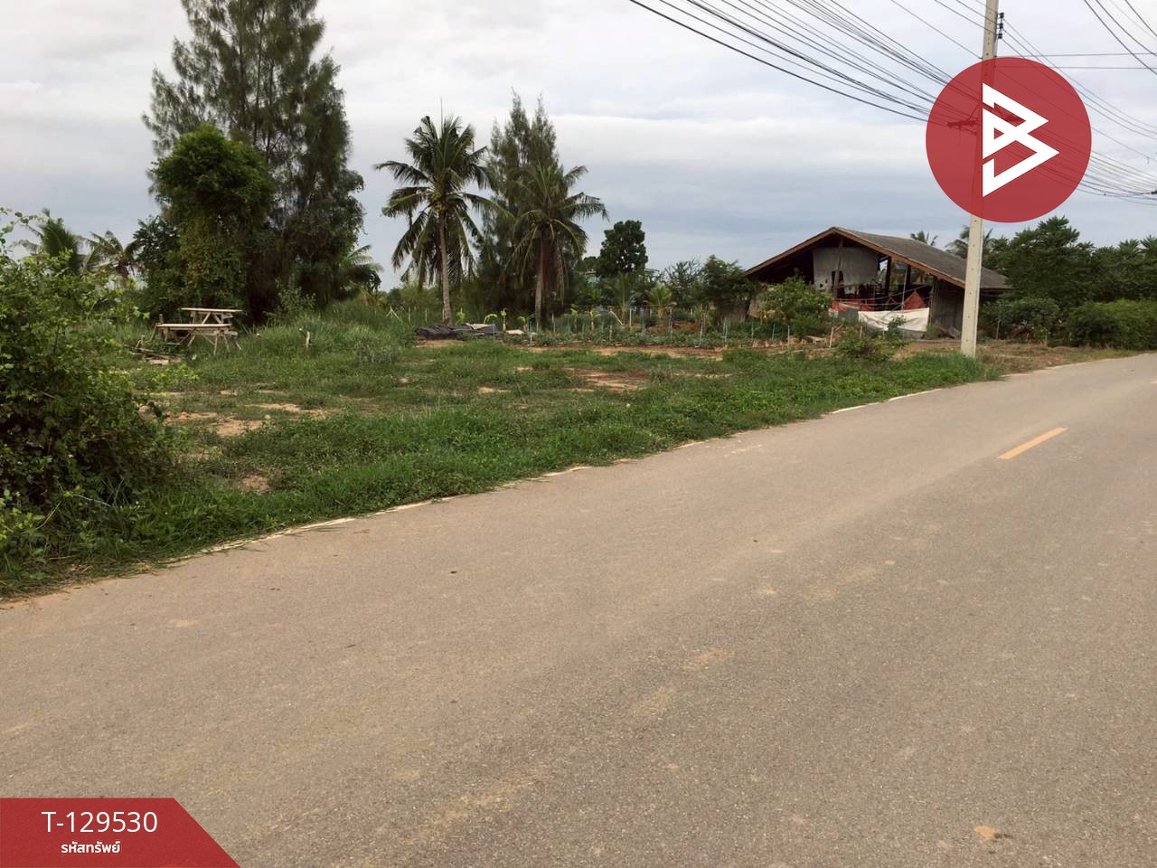 ขายที่ดิน เนื้อที่ 1 งาน 13 ตร.วา ท่ายาง เพชรบุรี 3