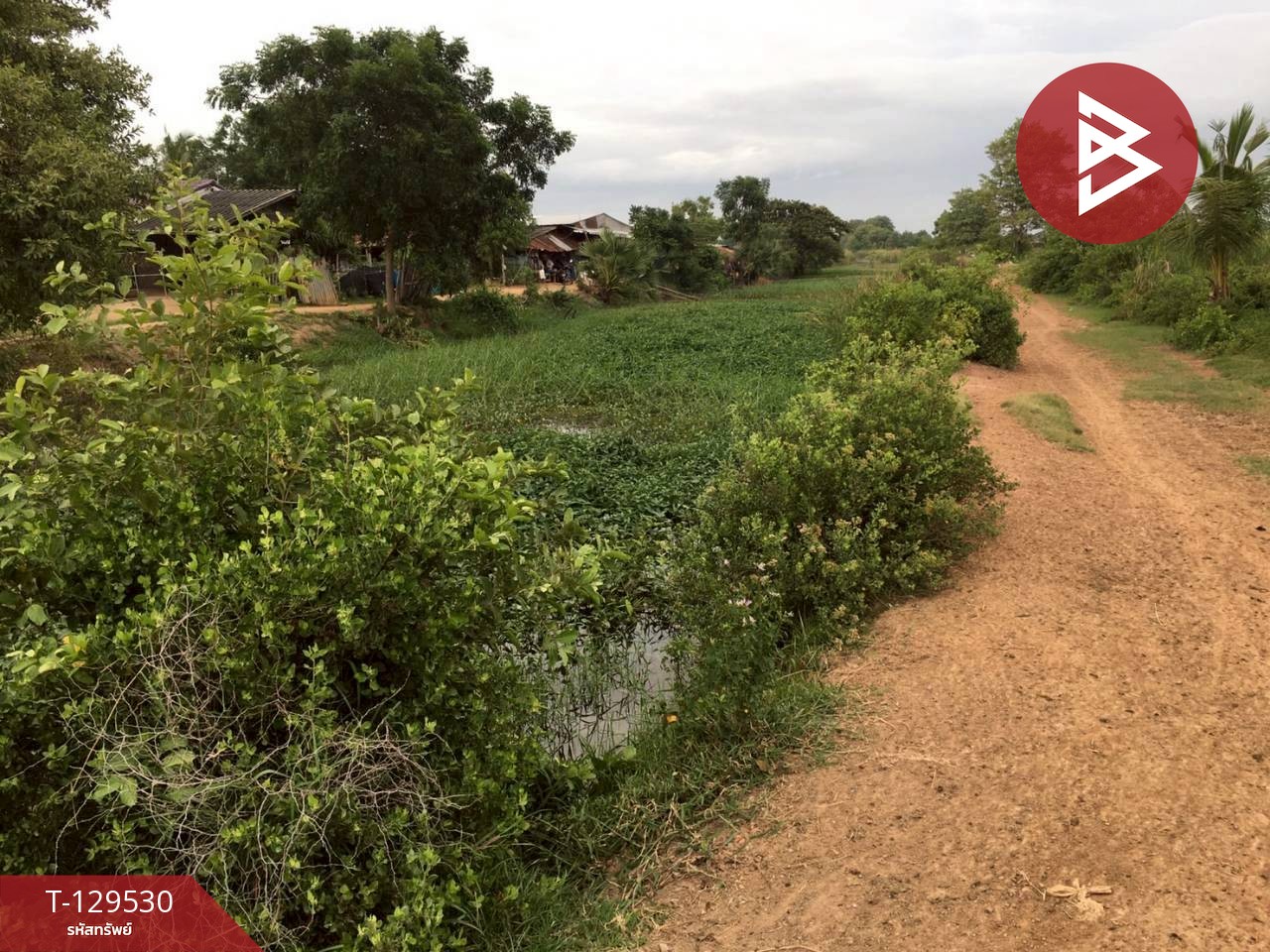 ขายที่ดิน เนื้อที่ 1 งาน 13 ตร.วา ท่ายาง เพชรบุรี 6