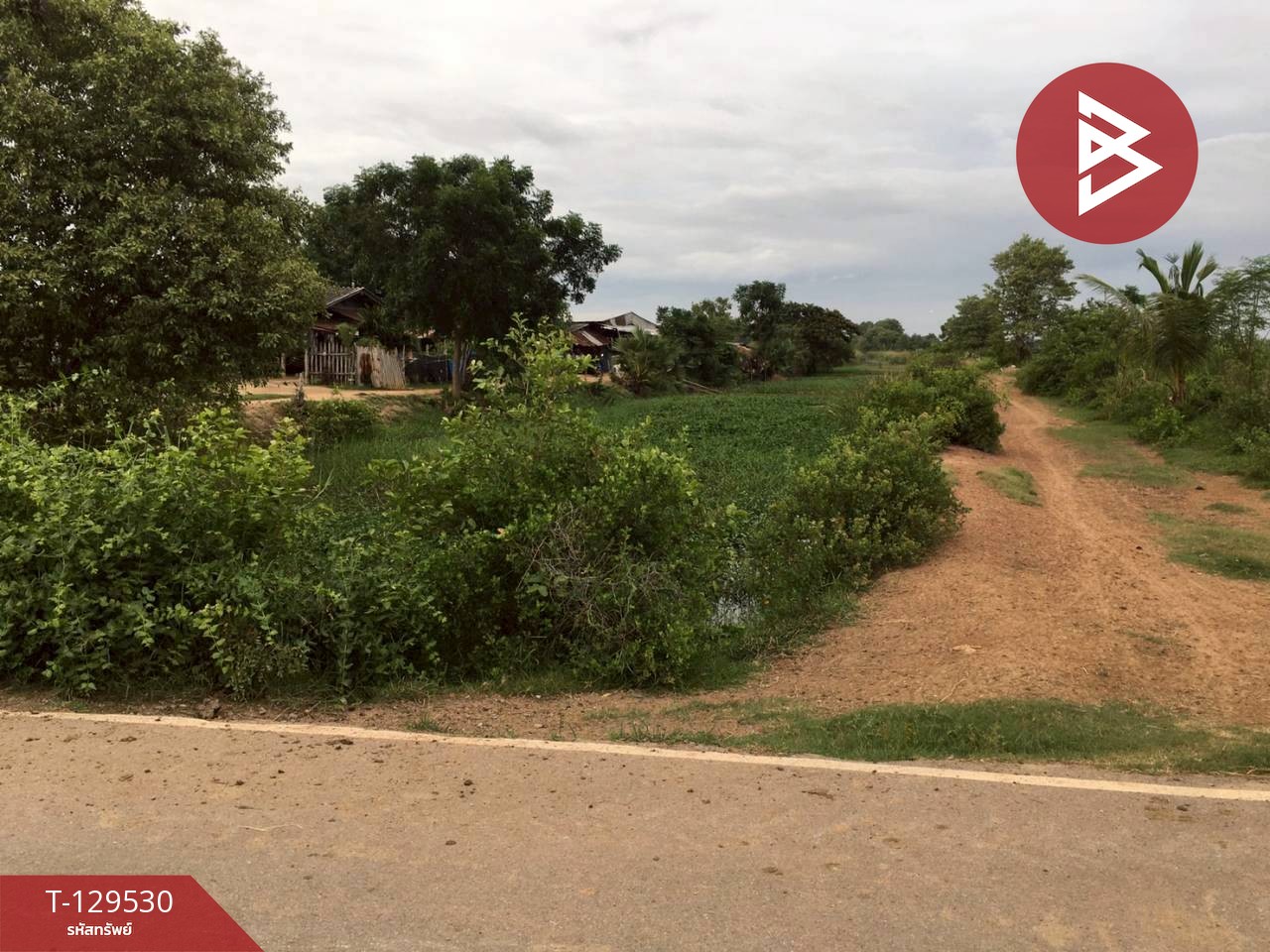 ขายที่ดิน เนื้อที่ 1 งาน 13 ตร.วา ท่ายาง เพชรบุรี 5