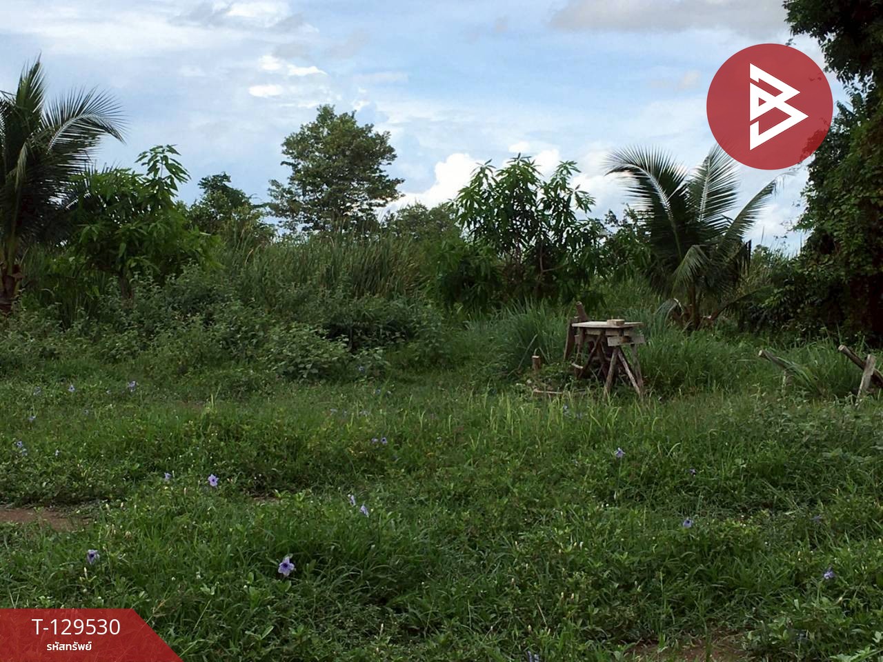 ขายที่ดิน เนื้อที่ 1 งาน 13 ตร.วา ท่ายาง เพชรบุรี 2