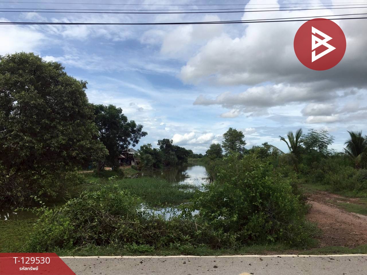 ขายที่ดิน เนื้อที่ 1 งาน 13 ตร.วา ท่ายาง เพชรบุรี 1