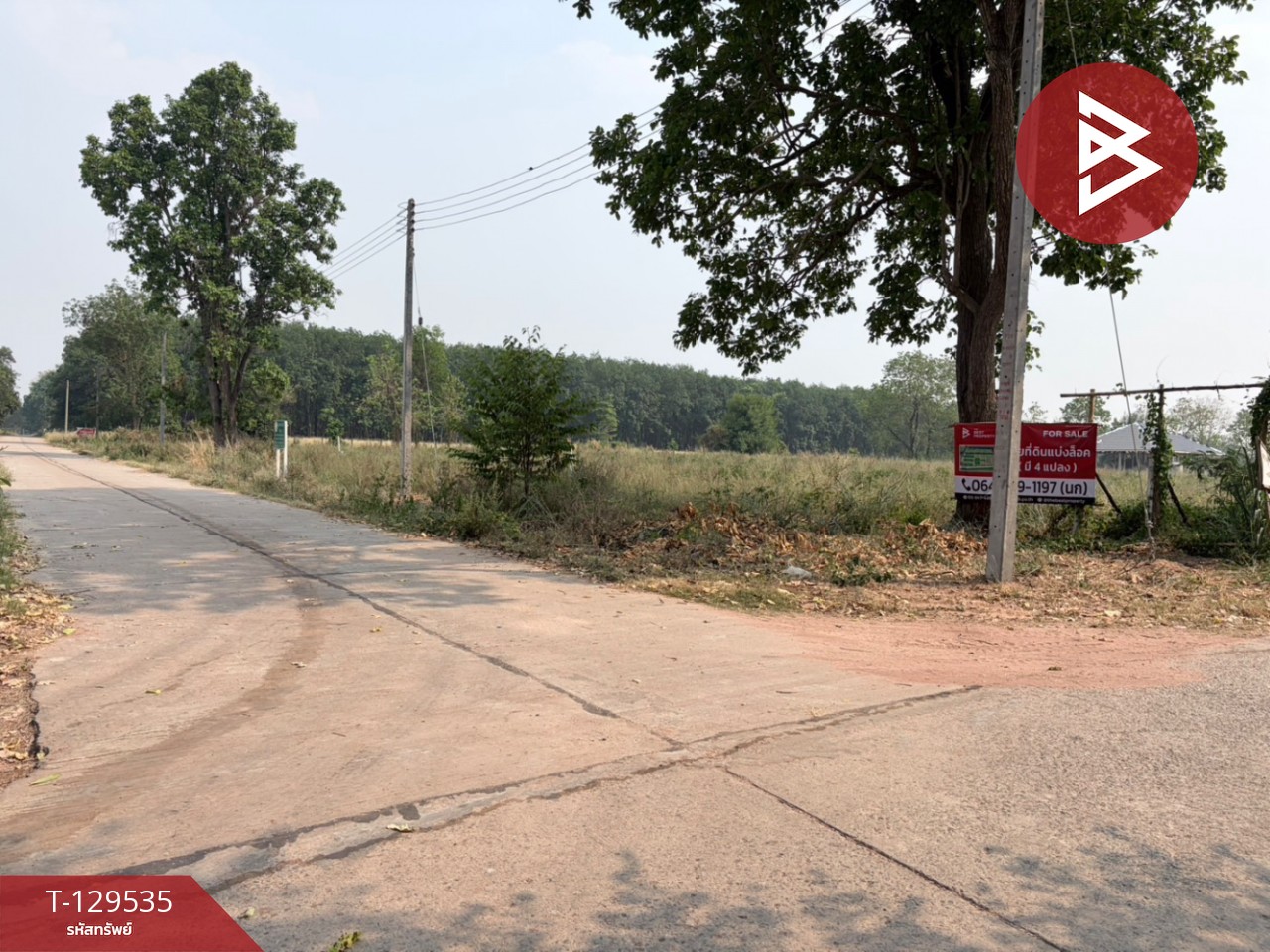 ขายที่ดิน เนื้อที่ 3 งาน 20 ตร.วา นิคมสงเคราะห์ อุดรธานี 1