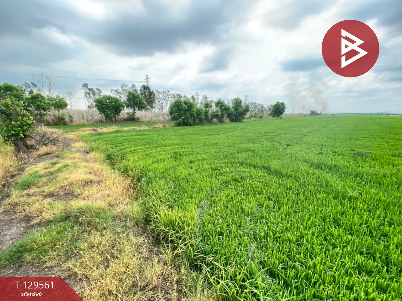 ขายที่ดินพร้อมบ้านเดี่ยว เนื้อที่ 38 ไร่ 1 งาน 35.7 ตร.วา วังน้อย พระนครศรีอยุธยา 6