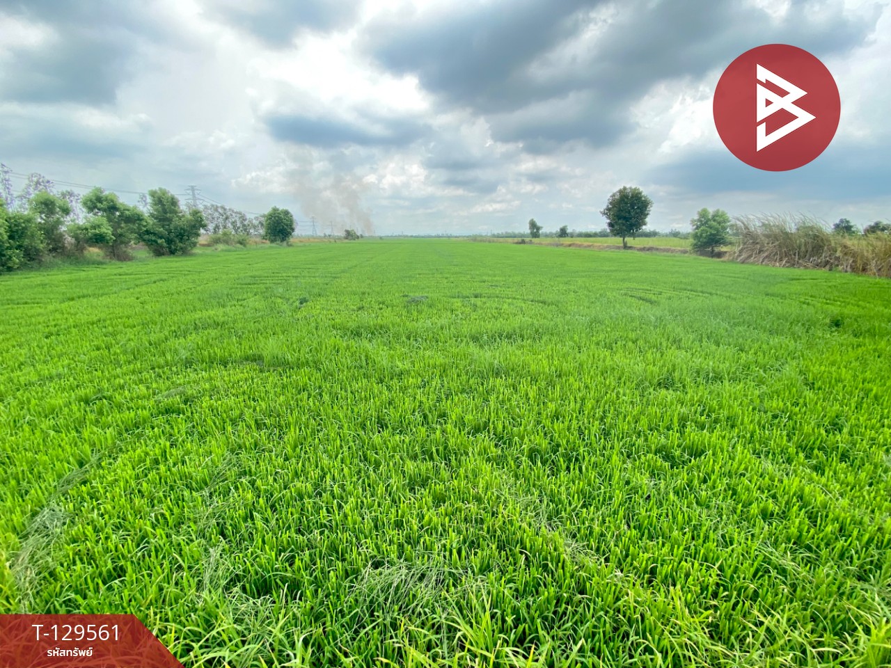 ขายที่ดินพร้อมบ้านเดี่ยว เนื้อที่ 38 ไร่ 1 งาน 35.7 ตร.วา วังน้อย พระนครศรีอยุธยา 3