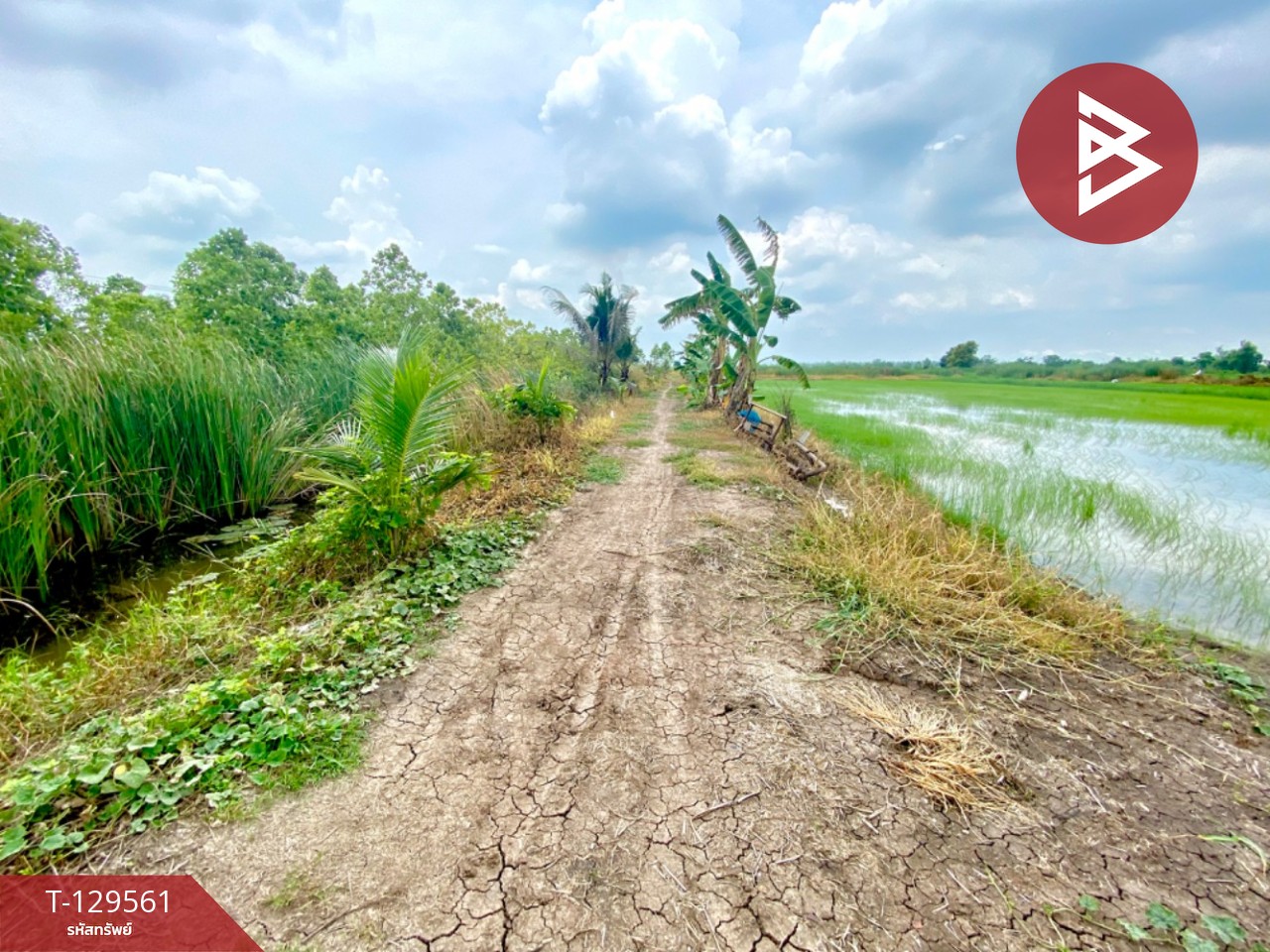 ขายที่ดินพร้อมบ้านเดี่ยว เนื้อที่ 38 ไร่ 1 งาน 35.7 ตร.วา วังน้อย พระนครศรีอยุธยา 7