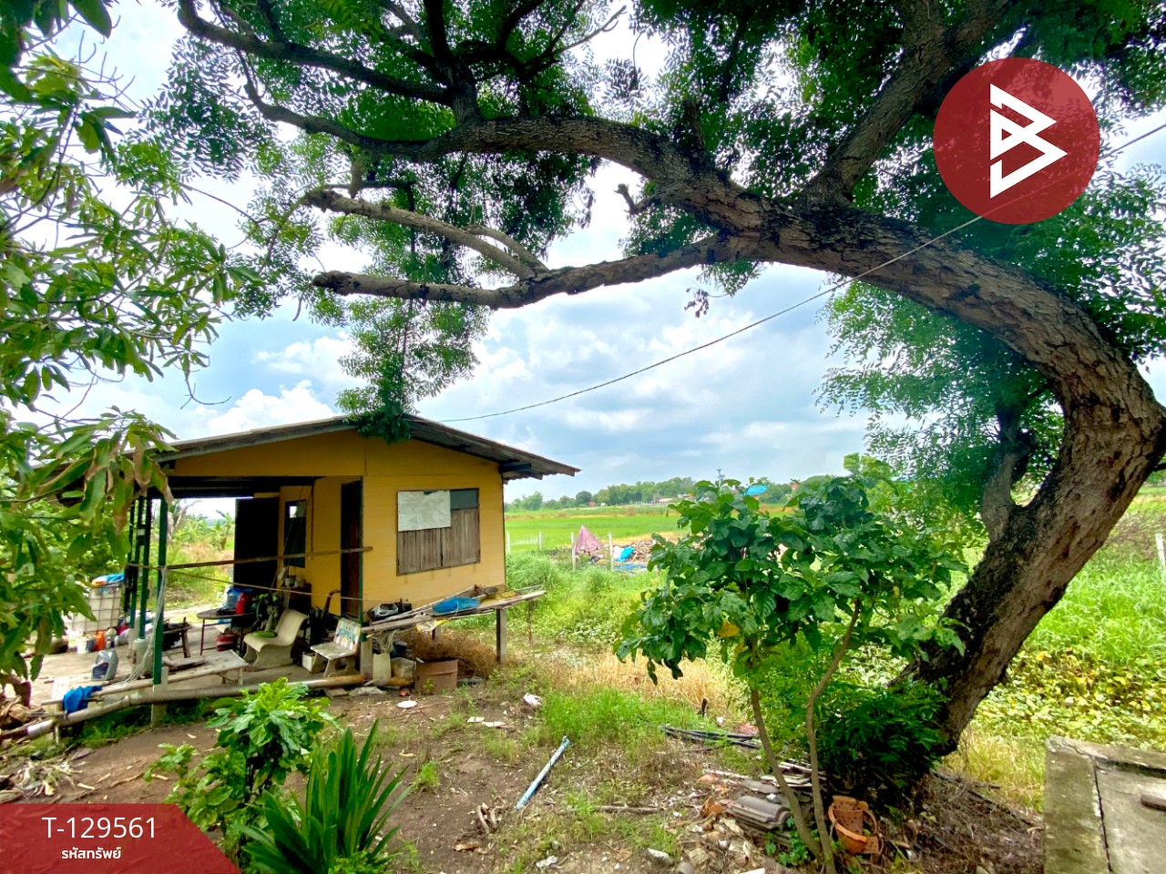 ขายที่ดินพร้อมบ้านเดี่ยว เนื้อที่ 38 ไร่ 1 งาน 35.7 ตร.วา วังน้อย พระนครศรีอยุธยา 4