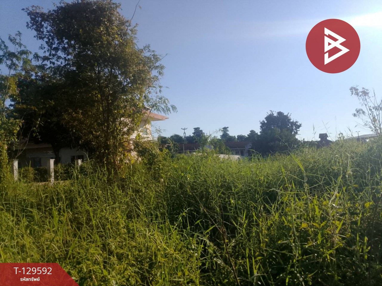 ขายที่ดิน เนื้อที่ 200.6 ตารางวา ติดกาดฝรัง หางดง เชียงใหม่ 2