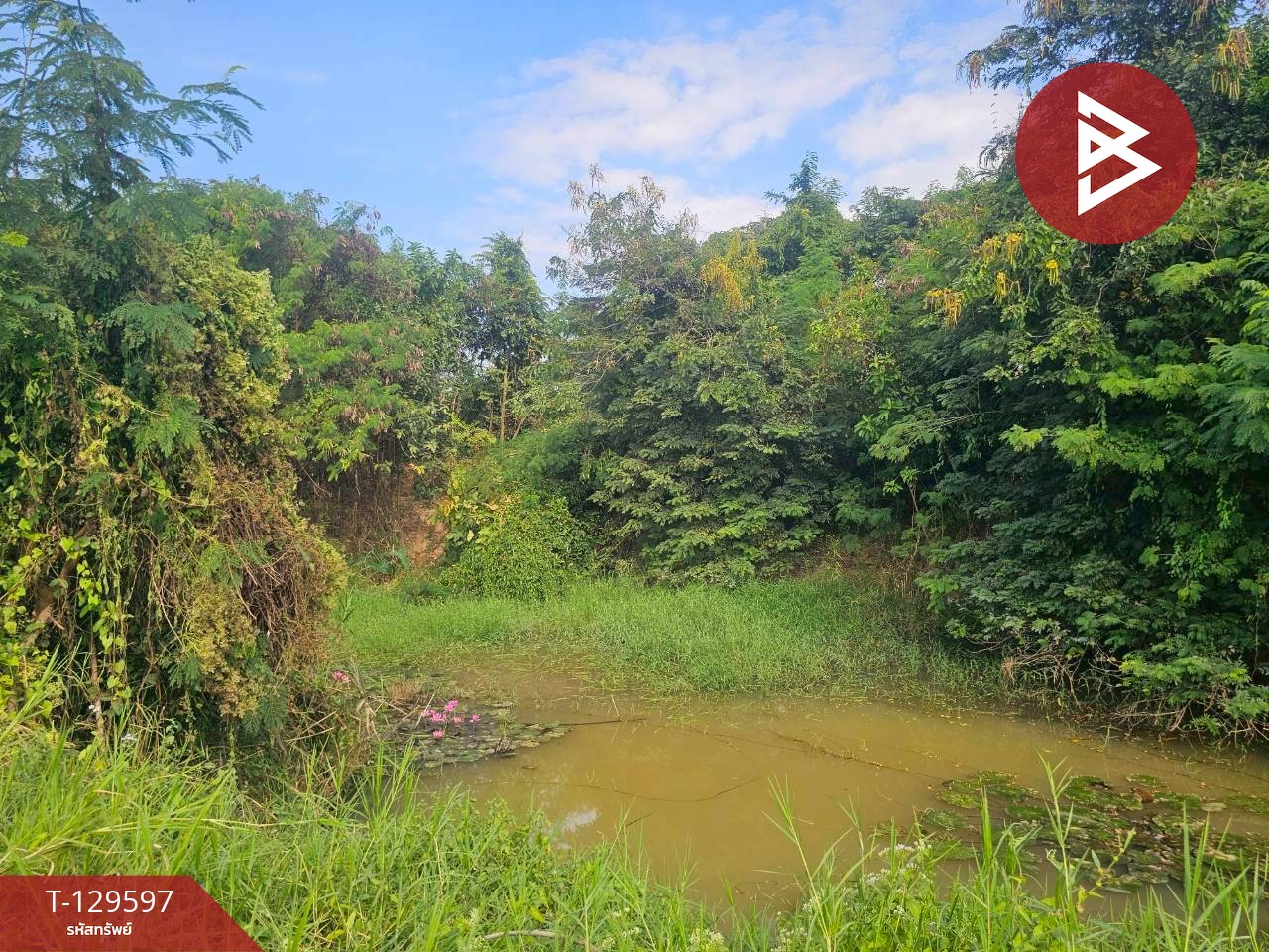 ขายที่ดิน เนื้อที่ 12 ไร่ 3 งาน 86 ตารางวา อ.ขาณุวรลักษบุรี กำแพงเพชร ทำเลดีติดถนน 4