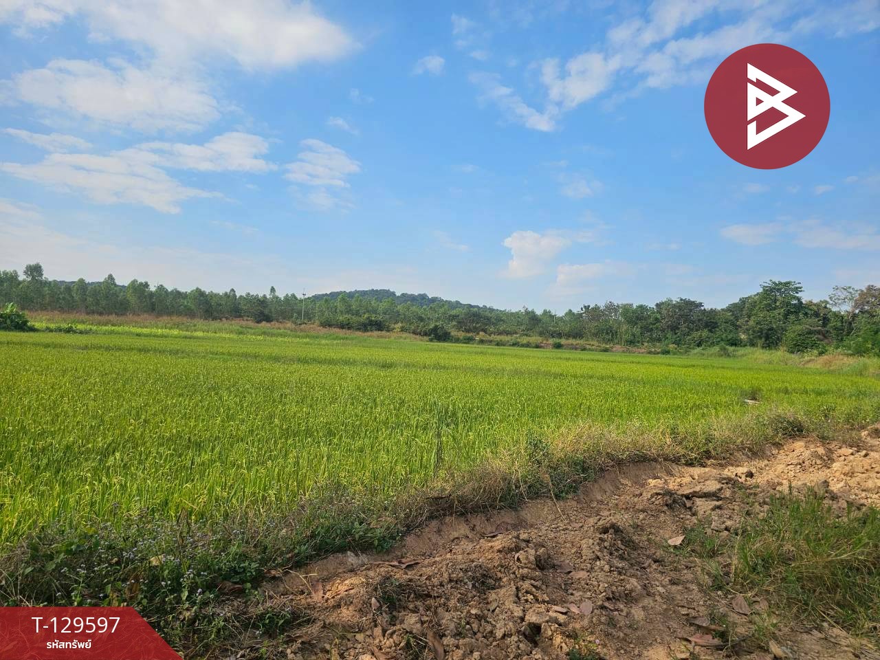 ขายที่ดิน เนื้อที่ 12 ไร่ 3 งาน 86 ตารางวา อ.ขาณุวรลักษบุรี กำแพงเพชร ทำเลดีติดถนน 2