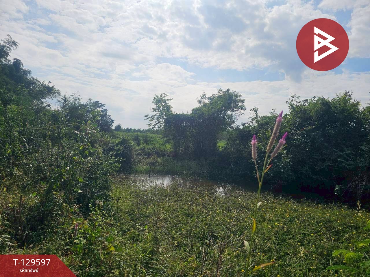 ขายที่ดิน เนื้อที่ 12 ไร่ 3 งาน 86 ตารางวา อ.ขาณุวรลักษบุรี กำแพงเพชร ทำเลดีติดถนน 5