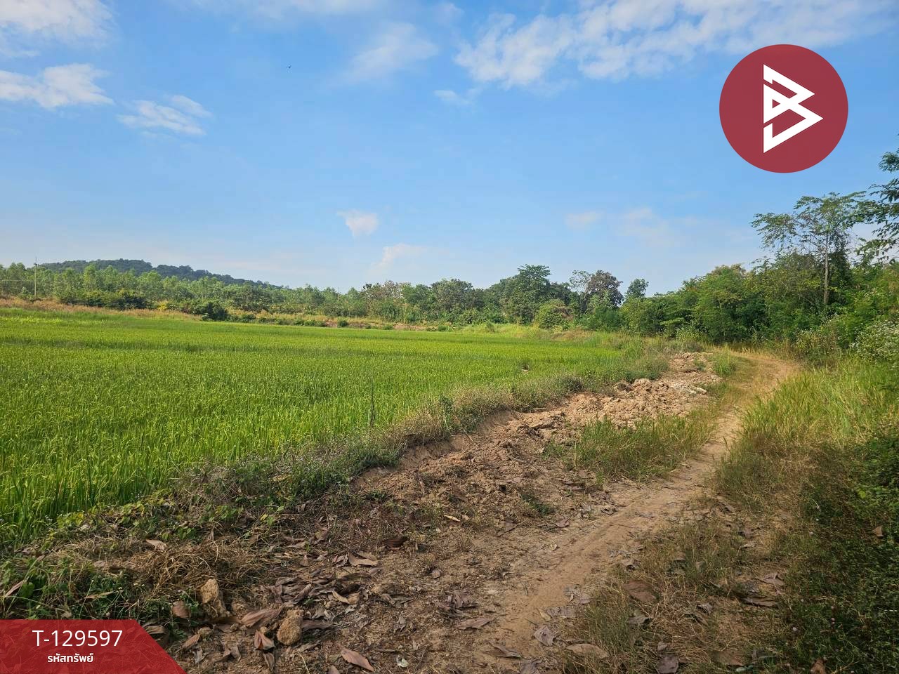 ขายที่ดิน เนื้อที่ 12 ไร่ 3 งาน 86 ตารางวา อ.ขาณุวรลักษบุรี กำแพงเพชร ทำเลดีติดถนน 3