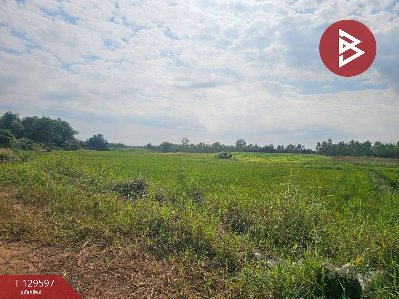 ขายที่ดิน เนื้อที่ 12 ไร่ 3 งาน 86 ตารางวา อ.ขาณุวรลักษบุรี กำแพงเพชร ทำเลดีติดถนน 7