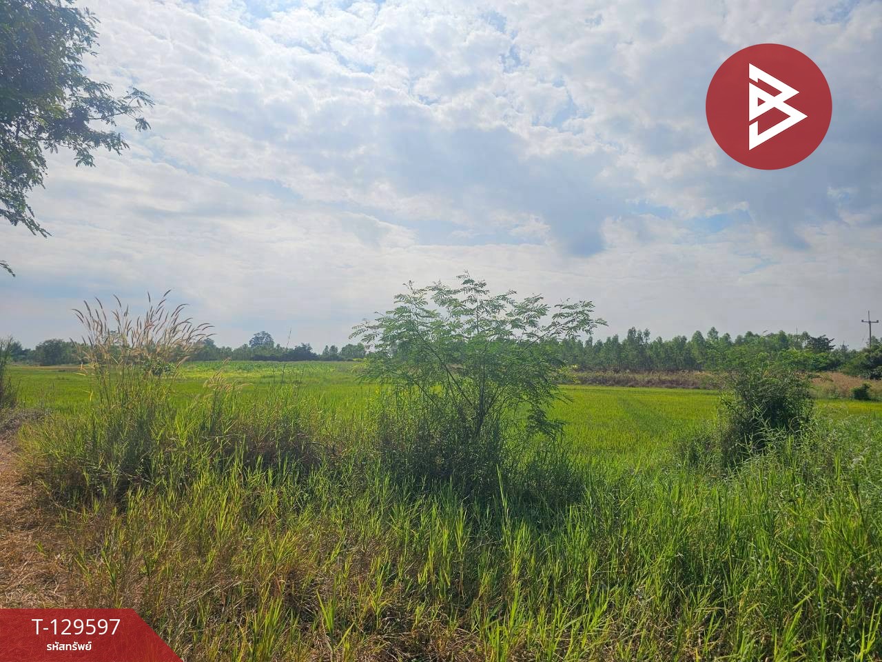 ขายที่ดิน เนื้อที่ 12 ไร่ 3 งาน 86 ตารางวา อ.ขาณุวรลักษบุรี กำแพงเพชร ทำเลดีติดถนน 6