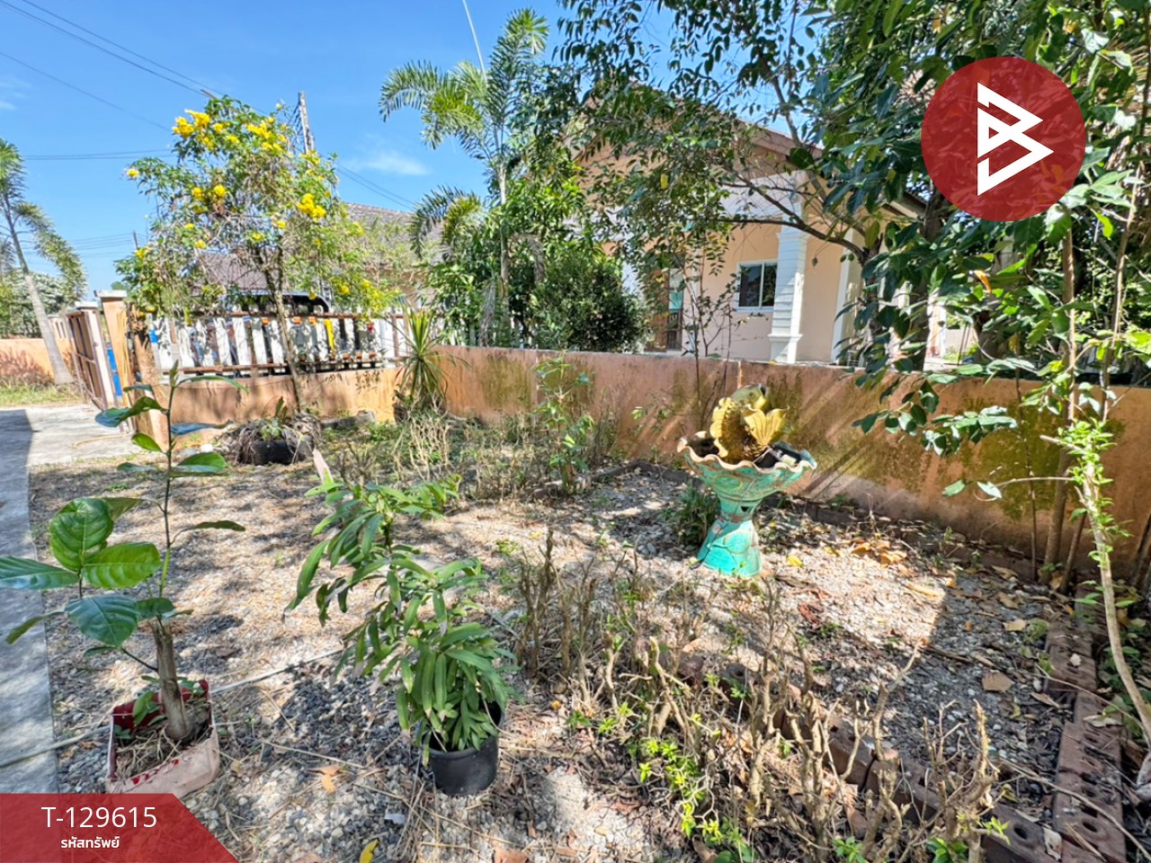 ขายบ้านเดี่ยวชั้นเดียว เนื้อที่ 67 ตร.วา บ้านค่าย ระยอง 13