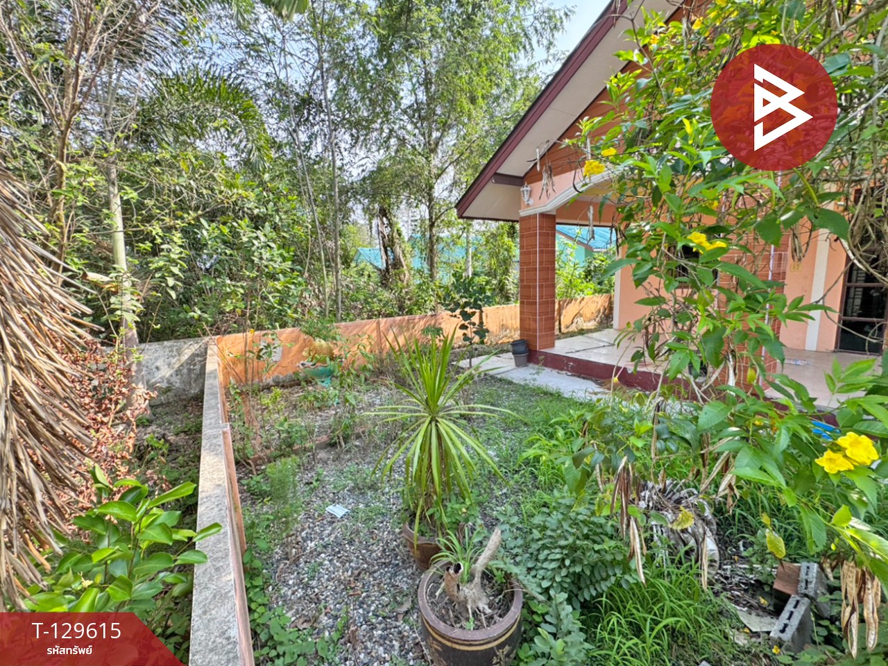 ขายบ้านเดี่ยวชั้นเดียว เนื้อที่ 67 ตร.วา บ้านค่าย ระยอง 12