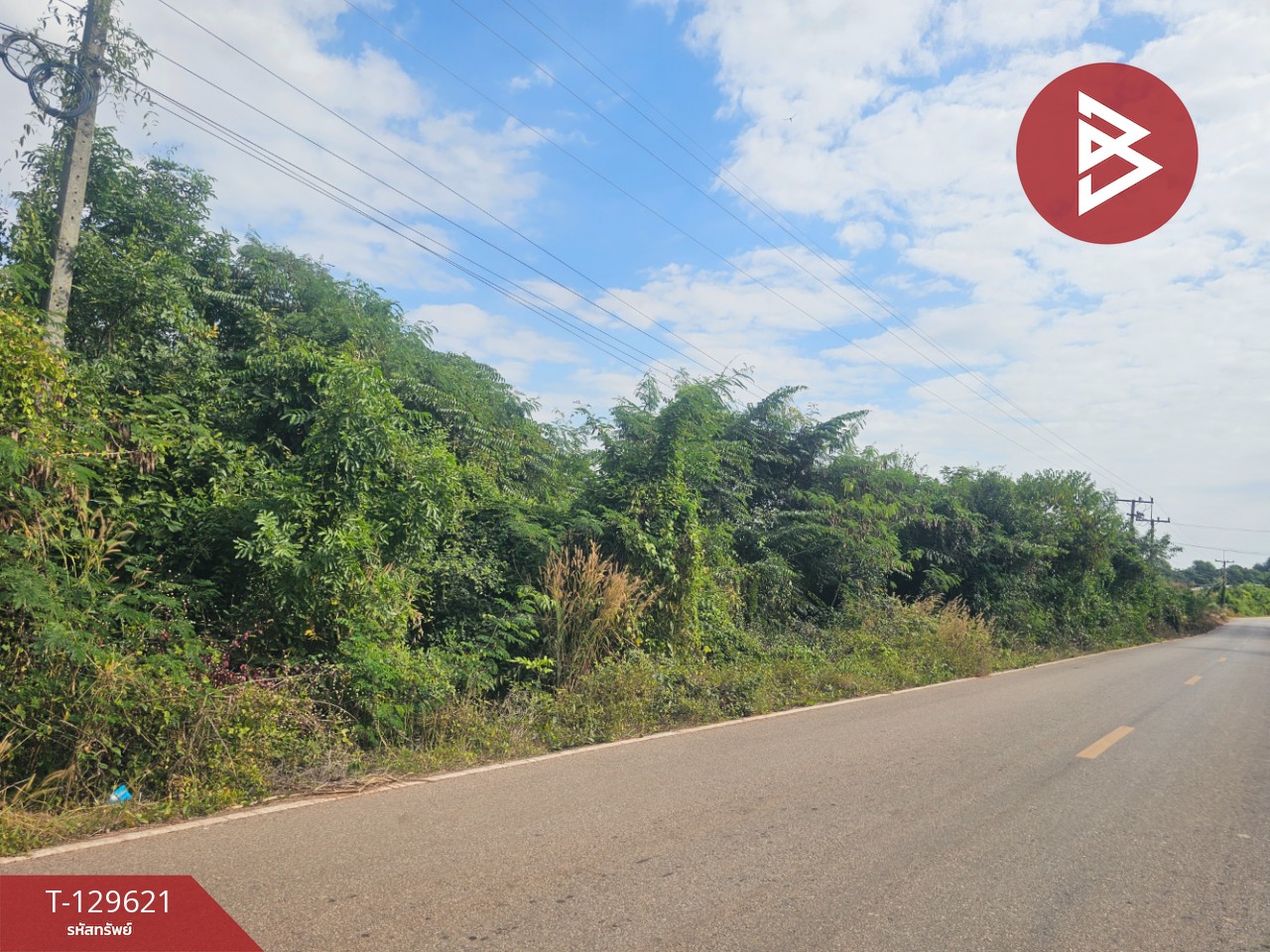 ขายที่ดิน เนื้อที่ 3 ไร่ 2 งาน 6 ตร.วา ขาณุวรลักษบุรี กำแพงเพชร 3