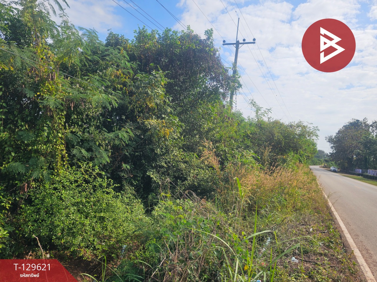 ขายที่ดิน เนื้อที่ 3 ไร่ 2 งาน 6 ตร.วา ขาณุวรลักษบุรี กำแพงเพชร 7