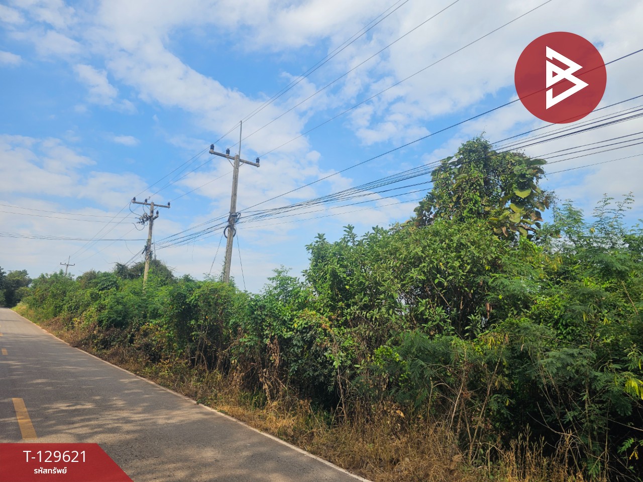 ขายที่ดิน เนื้อที่ 3 ไร่ 2 งาน 6 ตร.วา ขาณุวรลักษบุรี กำแพงเพชร 4