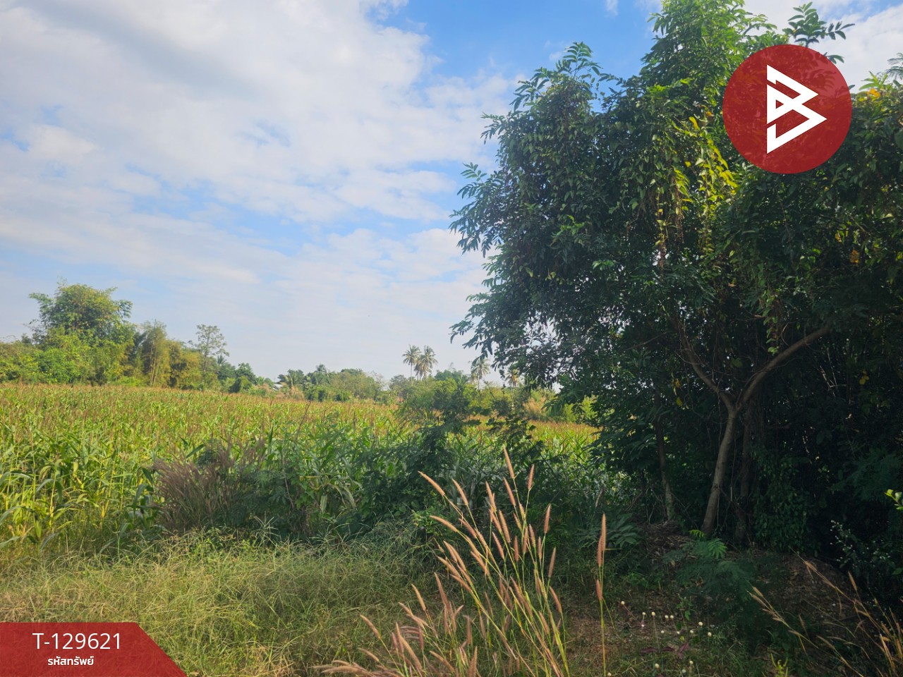 ขายที่ดิน เนื้อที่ 3 ไร่ 2 งาน 6 ตร.วา ขาณุวรลักษบุรี กำแพงเพชร 6