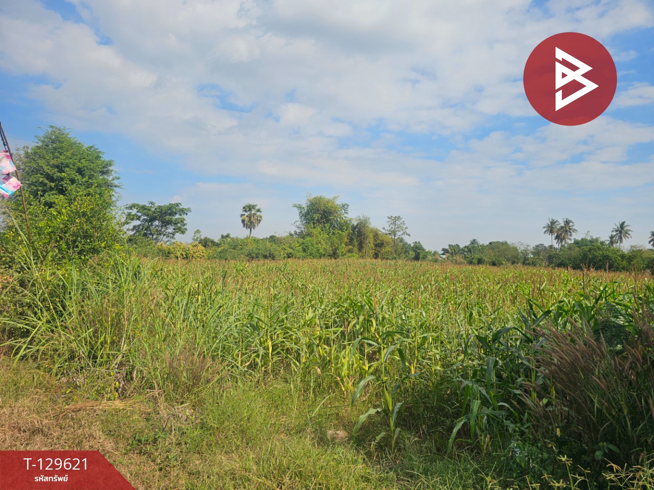 ขายที่ดิน เนื้อที่ 3 ไร่ 2 งาน 6 ตร.วา ขาณุวรลักษบุรี กำแพงเพชร 8