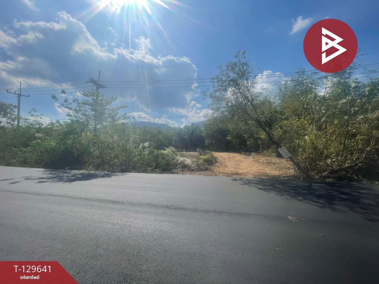 ขายที่ดิน เนื้อที่ 1 ไร่ ทองผาภูมิ กาญจนบุรี 8