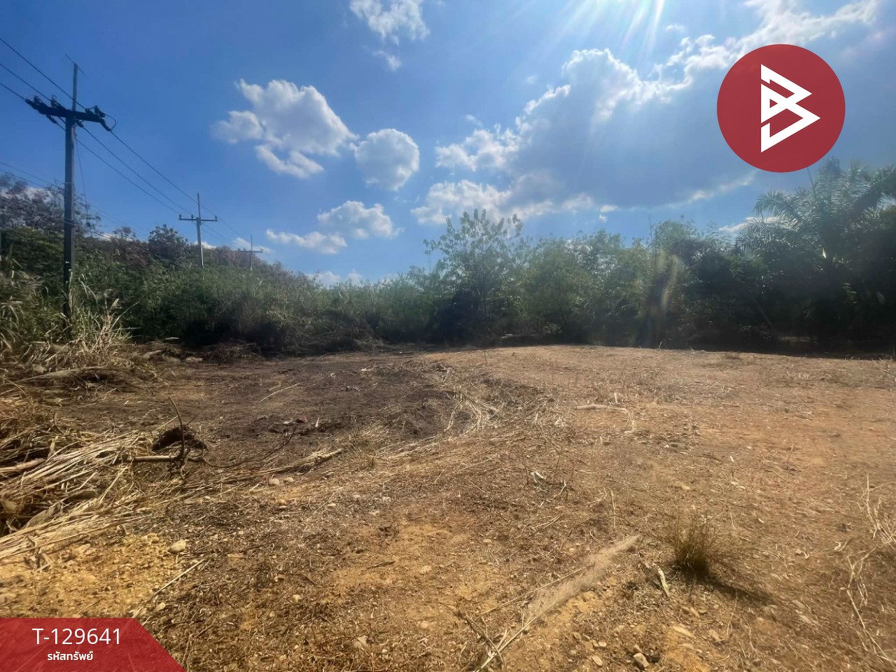 ขายที่ดิน เนื้อที่ 1 ไร่ ทองผาภูมิ กาญจนบุรี 3