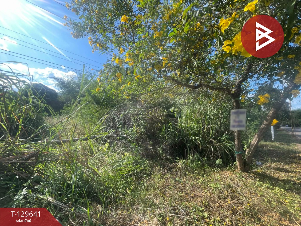ขายที่ดิน เนื้อที่ 1 ไร่ ทองผาภูมิ กาญจนบุรี 10