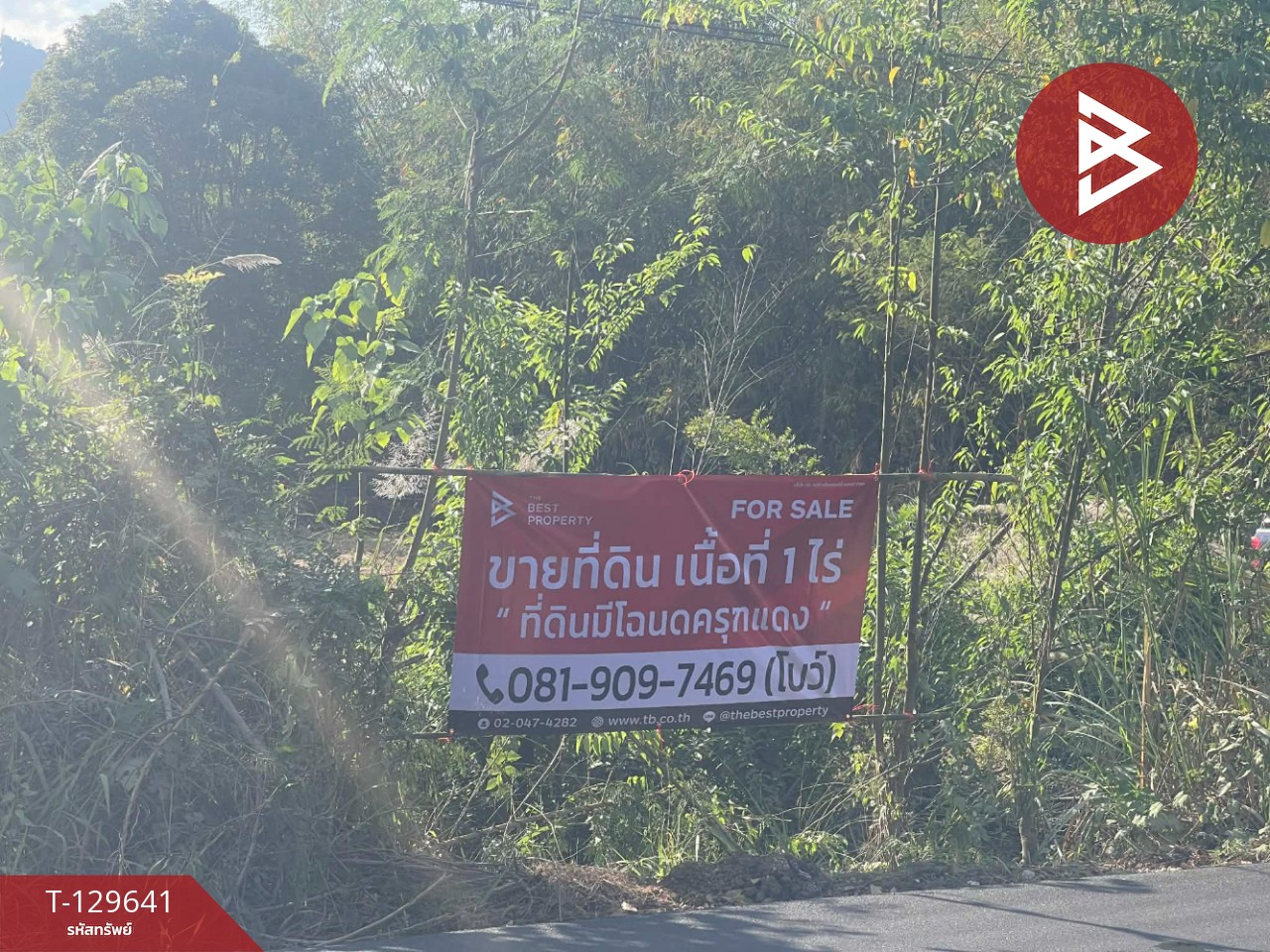 ขายที่ดิน เนื้อที่ 1 ไร่ ทองผาภูมิ กาญจนบุรี 1