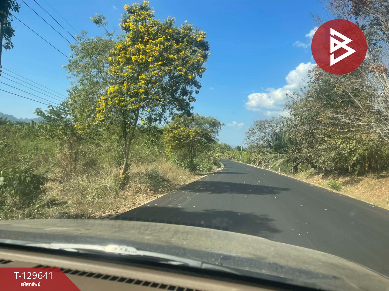 ขายที่ดิน เนื้อที่ 1 ไร่ ทองผาภูมิ กาญจนบุรี 4