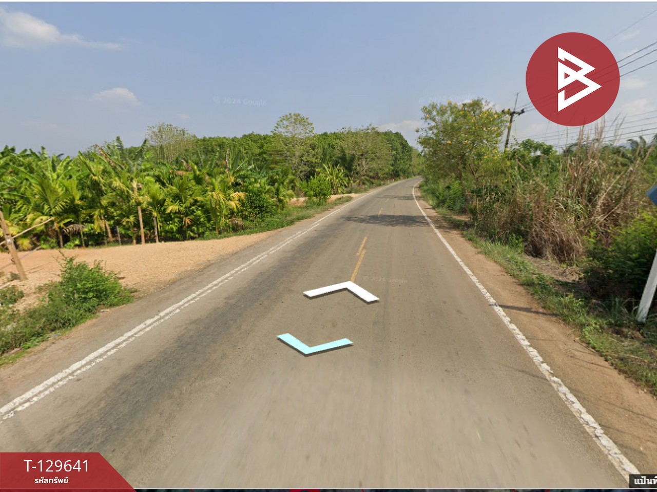 ขายที่ดิน เนื้อที่ 1 ไร่ ทองผาภูมิ กาญจนบุรี 5