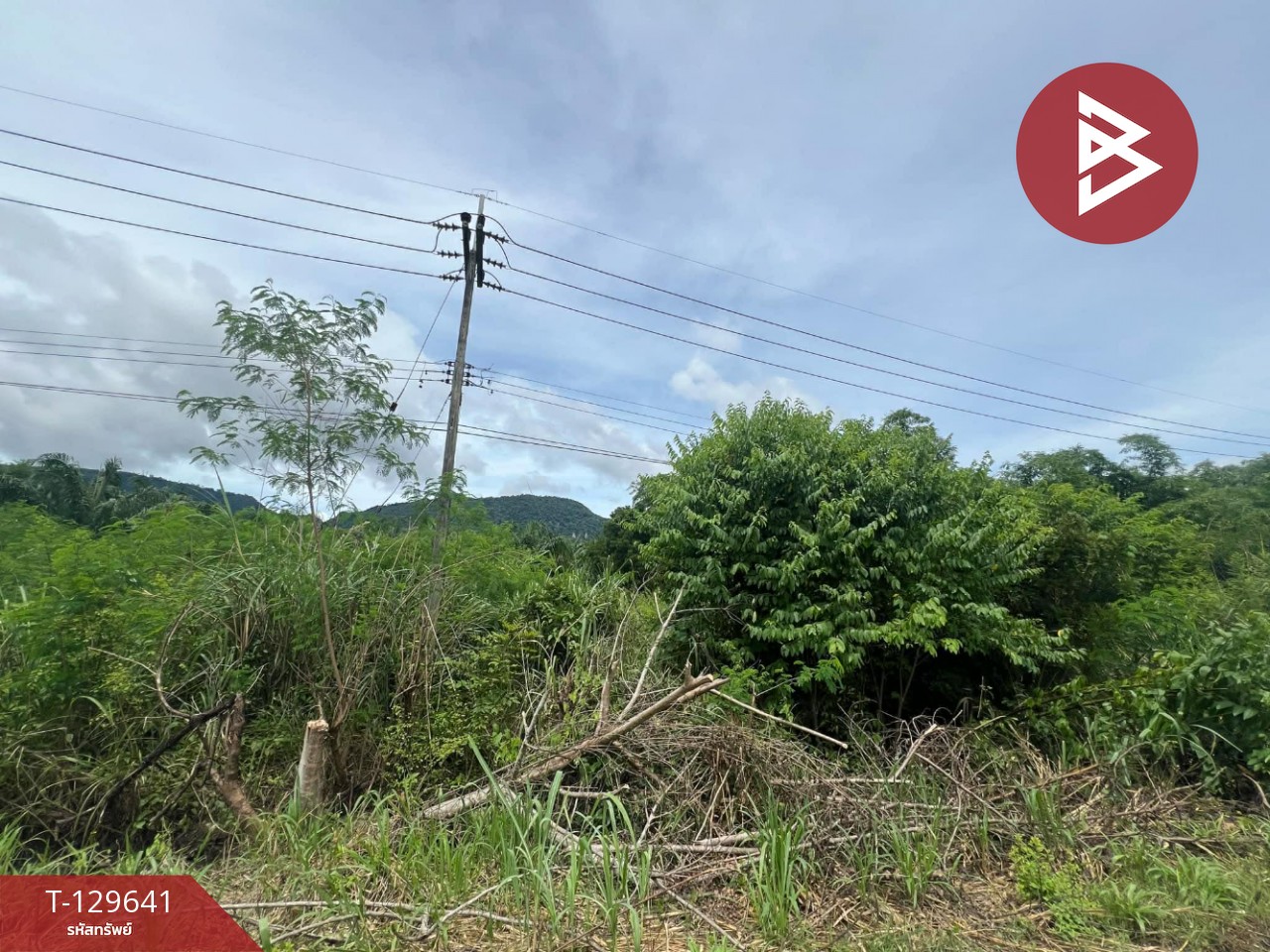 ขายที่ดิน เนื้อที่ 1 ไร่ ทองผาภูมิ กาญจนบุรี 9