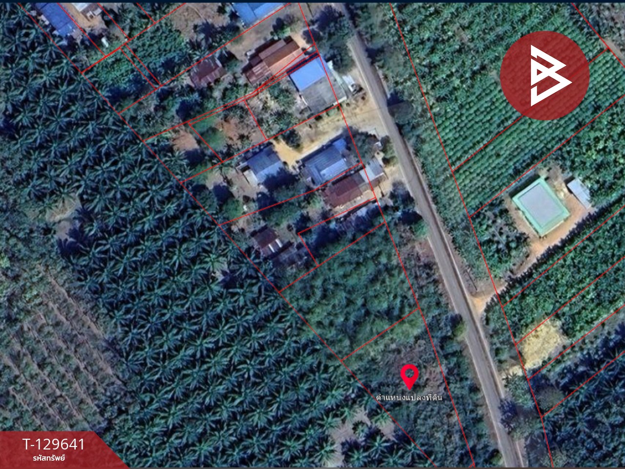 ขายที่ดิน เนื้อที่ 1 ไร่ ทองผาภูมิ กาญจนบุรี 15