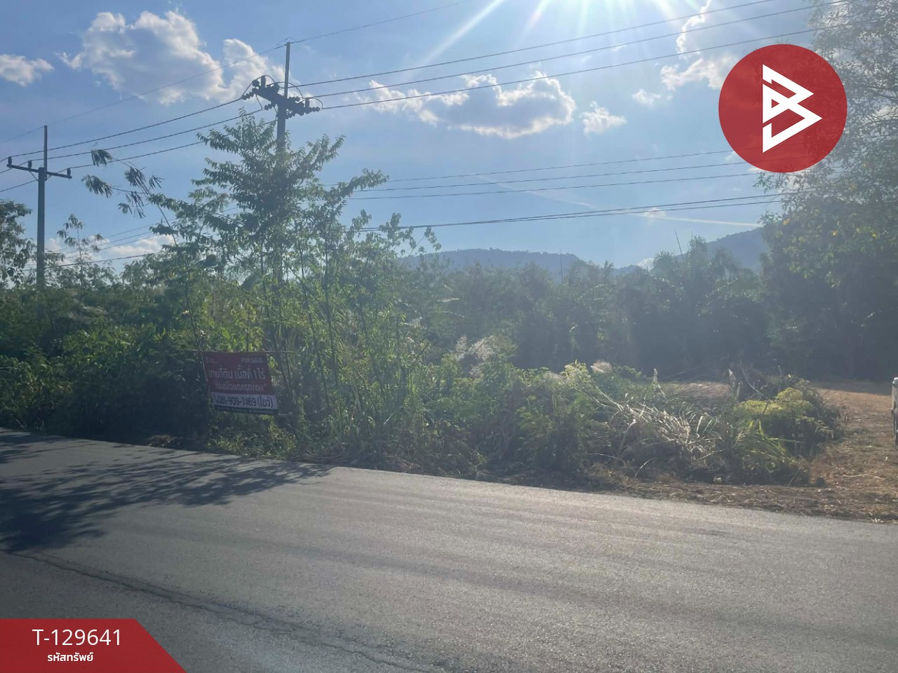 ขายที่ดิน เนื้อที่ 1 ไร่ ทองผาภูมิ กาญจนบุรี 2