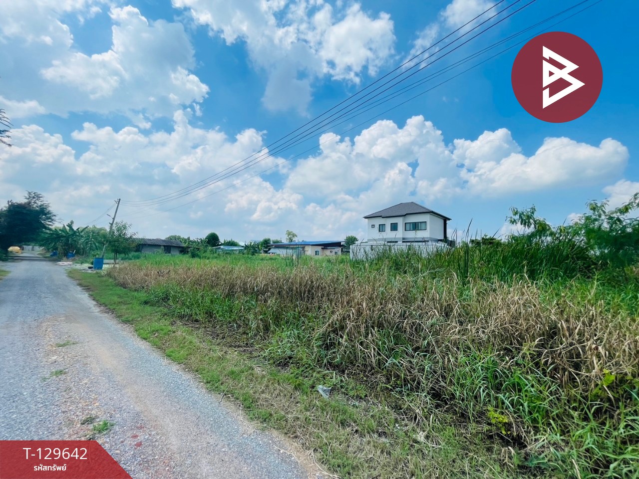 ขายที่ดินถมแล้ว เนื้อที่ 1 งาน 67 ตร.วา นครชัยศรี นครปฐม 11