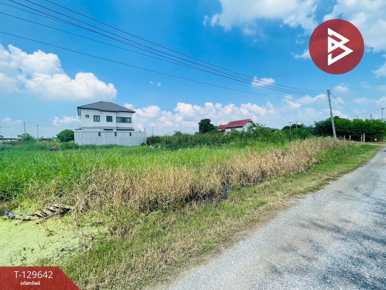 ขายที่ดินถมแล้ว เนื้อที่ 1 งาน 67 ตร.วา นครชัยศรี นครปฐม 9