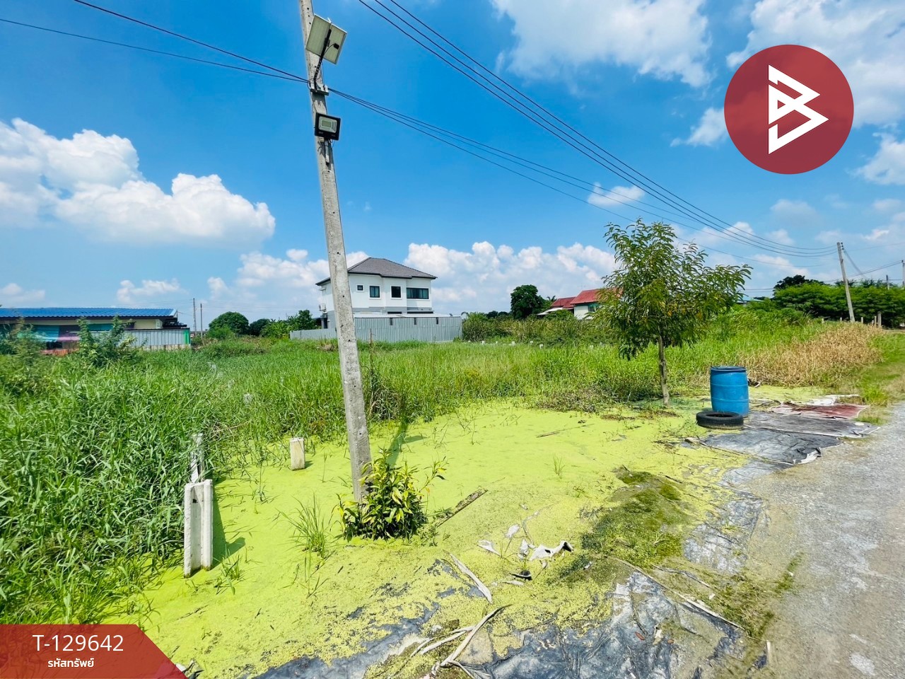 ขายที่ดินถมแล้ว เนื้อที่ 1 งาน 67 ตร.วา นครชัยศรี นครปฐม 6