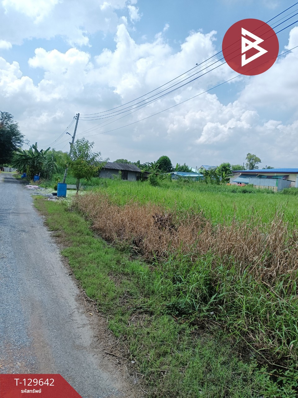 ขายที่ดินถมแล้ว เนื้อที่ 1 งาน 67 ตร.วา นครชัยศรี นครปฐม 2