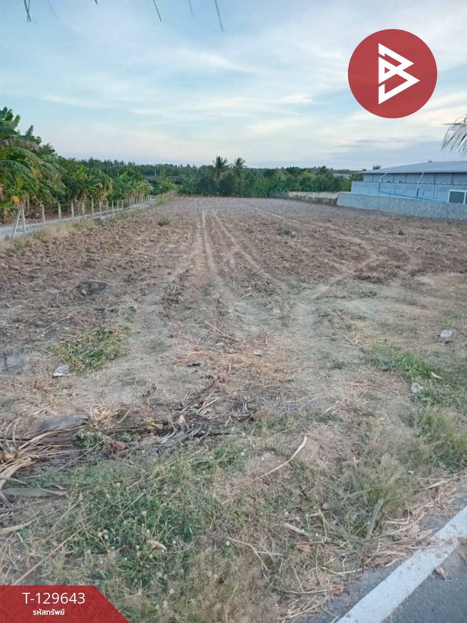 ขายที่ดิน เนื้อที่ 4 ไร่ บ้านบึง ชลบุรี 5